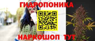 МДПВ Славянск-на-Кубани